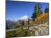 Mt. Baker from Kulshan Ridge at Artist's Point, Heather Meadows Recreation Area, Washington, Usa-Jamie & Judy Wild-Mounted Photographic Print