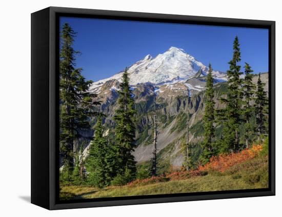 Mt. Baker from Kulshan Ridge at Artist's Point, Heather Meadows Recreation Area, Washington, Usa-Jamie & Judy Wild-Framed Stretched Canvas