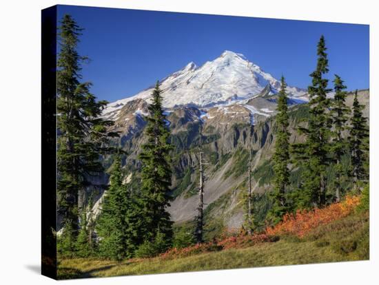 Mt. Baker from Kulshan Ridge at Artist's Point, Heather Meadows Recreation Area, Washington, Usa-Jamie & Judy Wild-Stretched Canvas