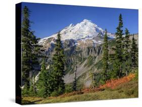 Mt. Baker from Kulshan Ridge at Artist's Point, Heather Meadows Recreation Area, Washington, Usa-Jamie & Judy Wild-Stretched Canvas