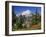 Mt. Baker from Kulshan Ridge at Artist's Point, Heather Meadows Recreation Area, Washington, Usa-Jamie & Judy Wild-Framed Photographic Print