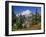 Mt. Baker from Kulshan Ridge at Artist's Point, Heather Meadows Recreation Area, Washington, Usa-Jamie & Judy Wild-Framed Photographic Print