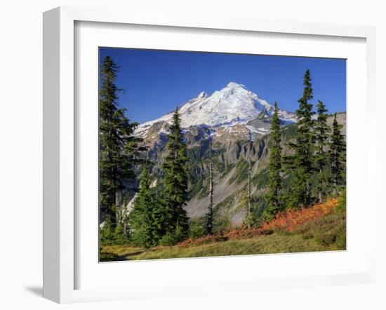 Mt. Baker from Kulshan Ridge at Artist's Point, Heather Meadows Recreation Area, Washington, Usa-Jamie & Judy Wild-Framed Photographic Print