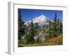 Mt. Baker from Kulshan Ridge at Artist's Point, Heather Meadows Recreation Area, Washington, Usa-Jamie & Judy Wild-Framed Photographic Print