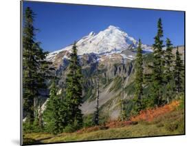 Mt. Baker from Kulshan Ridge at Artist's Point, Heather Meadows Recreation Area, Washington, Usa-Jamie & Judy Wild-Mounted Photographic Print