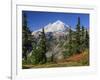 Mt. Baker from Kulshan Ridge at Artist's Point, Heather Meadows Recreation Area, Washington, Usa-Jamie & Judy Wild-Framed Photographic Print