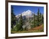 Mt. Baker from Kulshan Ridge at Artist's Point, Heather Meadows Recreation Area, Washington, Usa-Jamie & Judy Wild-Framed Photographic Print