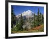 Mt. Baker from Kulshan Ridge at Artist's Point, Heather Meadows Recreation Area, Washington, Usa-Jamie & Judy Wild-Framed Photographic Print