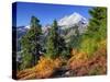 Mt. Baker from Kulshan Ridge at Artist's Point, Heather Meadows Recreation Area, Washington, Usa-Jamie & Judy Wild-Stretched Canvas