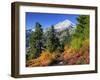 Mt. Baker from Kulshan Ridge at Artist's Point, Heather Meadows Recreation Area, Washington, Usa-Jamie & Judy Wild-Framed Photographic Print