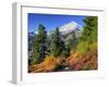 Mt. Baker from Kulshan Ridge at Artist's Point, Heather Meadows Recreation Area, Washington, Usa-Jamie & Judy Wild-Framed Photographic Print