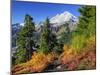 Mt. Baker from Kulshan Ridge at Artist's Point, Heather Meadows Recreation Area, Washington, Usa-Jamie & Judy Wild-Mounted Photographic Print