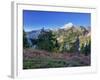 Mt. Baker from Kulshan Ridge at Artist's Point, Heather Meadows Recreation Area, Washington, Usa-Jamie & Judy Wild-Framed Photographic Print