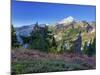 Mt. Baker from Kulshan Ridge at Artist's Point, Heather Meadows Recreation Area, Washington, Usa-Jamie & Judy Wild-Mounted Photographic Print