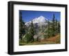 Mt. Baker from Kulshan Ridge at Artist's Point, Heather Meadows Recreation Area, Washington, Usa-Jamie & Judy Wild-Framed Photographic Print