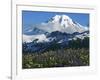 Mt. Baker, Mt. Baker-Snoqualmie National Forest, Washington, USA-Charles Gurche-Framed Photographic Print