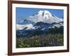 Mt. Baker, Mt. Baker-Snoqualmie National Forest, Washington, USA-Charles Gurche-Framed Photographic Print