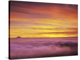 Mt. Baker Peeks Above the Clouds in Olympic National Park, Washington, USA-Dennis Flaherty-Stretched Canvas
