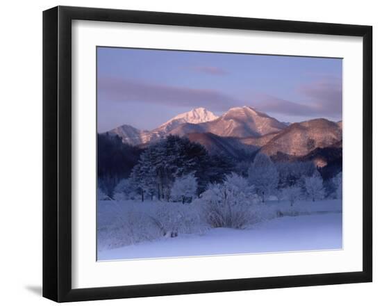 Premium Photographic Print, , large