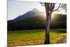 Mt Barney, Mt Barney National Park, Queensland, Australia-Mark A Johnson-Mounted Photographic Print