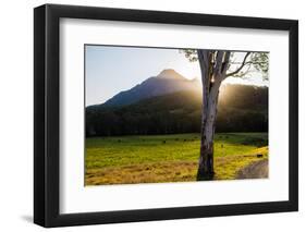 Mt Barney, Mt Barney National Park, Queensland, Australia-Mark A Johnson-Framed Photographic Print