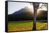 Mt Barney, Mt Barney National Park, Queensland, Australia-Mark A Johnson-Framed Stretched Canvas