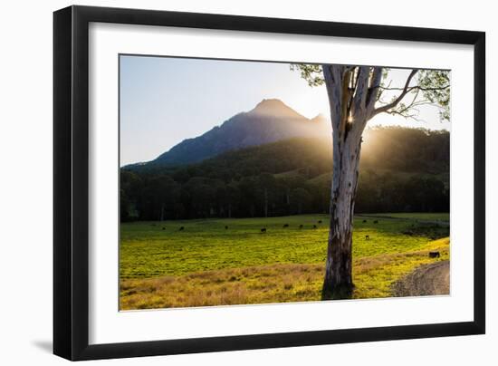 Mt Barney, Mt Barney National Park, Queensland, Australia-Mark A Johnson-Framed Photographic Print