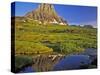 Mt Clements Reflects into Small Pool at Logan Pass in Glacier National Park, Montana, USA-Chuck Haney-Stretched Canvas
