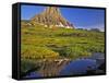 Mt Clements Reflects into Small Pool at Logan Pass in Glacier National Park, Montana, USA-Chuck Haney-Framed Stretched Canvas