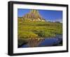 Mt Clements Reflects into Small Pool at Logan Pass in Glacier National Park, Montana, USA-Chuck Haney-Framed Photographic Print
