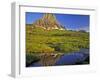 Mt Clements Reflects into Small Pool at Logan Pass in Glacier National Park, Montana, USA-Chuck Haney-Framed Photographic Print