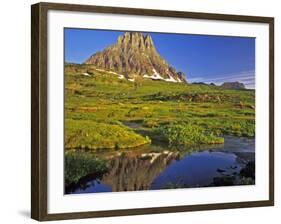 Mt Clements Reflects into Small Pool at Logan Pass in Glacier National Park, Montana, USA-Chuck Haney-Framed Photographic Print