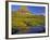 Mt Clements Reflects into Small Pool at Logan Pass in Glacier National Park, Montana, USA-Chuck Haney-Framed Photographic Print