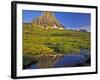 Mt Clements Reflects into Small Pool at Logan Pass in Glacier National Park, Montana, USA-Chuck Haney-Framed Photographic Print