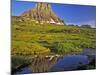 Mt Clements Reflects into Small Pool at Logan Pass in Glacier National Park, Montana, USA-Chuck Haney-Mounted Photographic Print