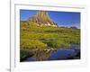 Mt Clements Reflects into Small Pool at Logan Pass in Glacier National Park, Montana, USA-Chuck Haney-Framed Photographic Print