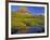 Mt Clements Reflects into Small Pool at Logan Pass in Glacier National Park, Montana, USA-Chuck Haney-Framed Photographic Print