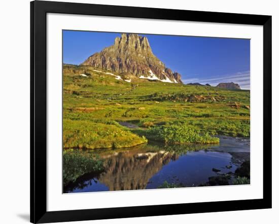 Mt Clements Reflects into Small Pool at Logan Pass in Glacier National Park, Montana, USA-Chuck Haney-Framed Photographic Print