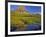 Mt Clements Reflects into Small Pool at Logan Pass in Glacier National Park, Montana, USA-Chuck Haney-Framed Photographic Print