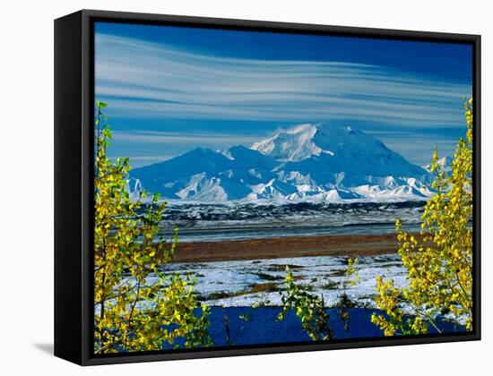 Mt. Denali After First Snowfall of the Summer, Denali National Park, Alaska, USA-Charles Sleicher-Framed Stretched Canvas