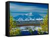 Mt. Denali After First Snowfall of the Summer, Denali National Park, Alaska, USA-Charles Sleicher-Framed Stretched Canvas