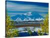 Mt. Denali After First Snowfall of the Summer, Denali National Park, Alaska, USA-Charles Sleicher-Stretched Canvas