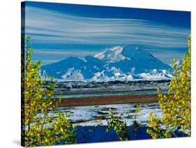 Mt. Denali After First Snowfall of the Summer, Denali National Park, Alaska, USA-Charles Sleicher-Stretched Canvas