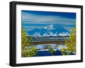 Mt. Denali After First Snowfall of the Summer, Denali National Park, Alaska, USA-Charles Sleicher-Framed Premium Photographic Print