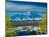 Mt. Denali After First Snowfall of the Summer, Denali National Park, Alaska, USA-Charles Sleicher-Mounted Photographic Print