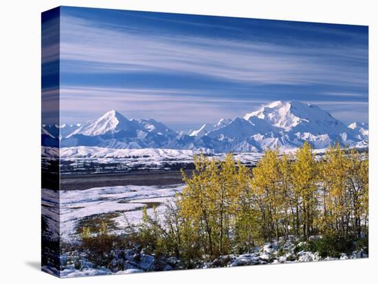 Mt. Denali, Alaska, USA-Charles Sleicher-Stretched Canvas