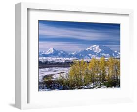 Mt. Denali, Alaska, USA-Charles Sleicher-Framed Photographic Print