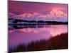 Mt. Denali at Sunset from Reflection Pond, Alaska, USA-Charles Sleicher-Mounted Photographic Print