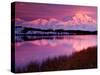 Mt. Denali at Sunset From Reflection Pond in Denali National Park, Alaska, USA-Charles Sleicher-Stretched Canvas