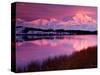 Mt. Denali at Sunset From Reflection Pond in Denali National Park, Alaska, USA-Charles Sleicher-Stretched Canvas